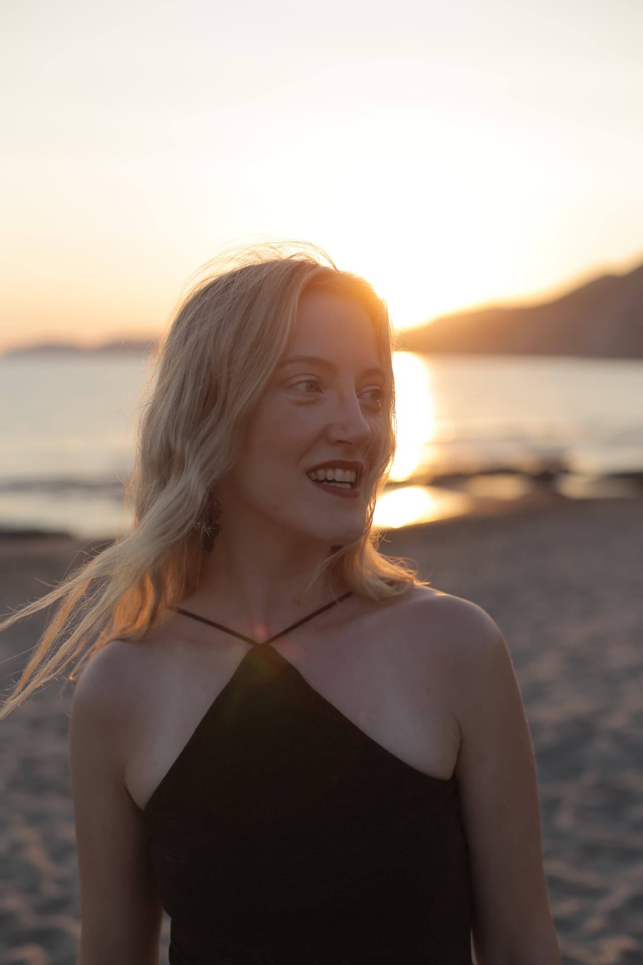 Kine i solnedgang ved havet